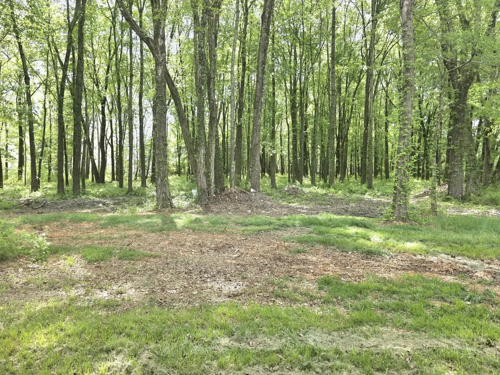 1151 Dry Creek Road Smithville TN 37166