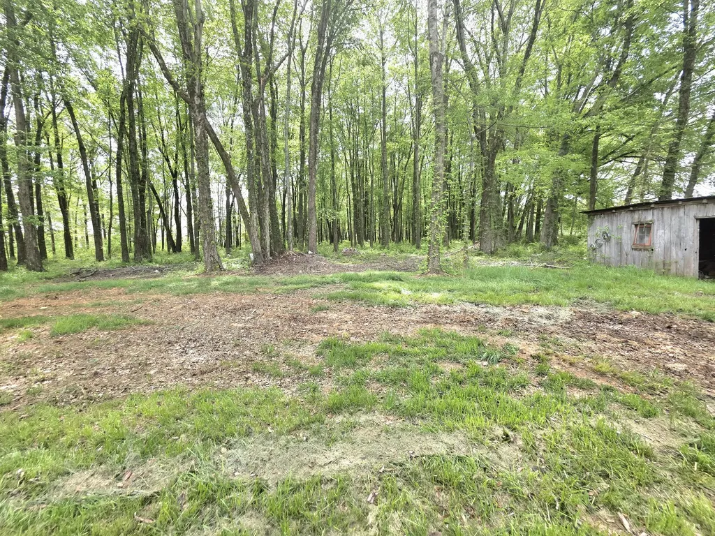 1151 Dry Creek Road Smithville TN 37166