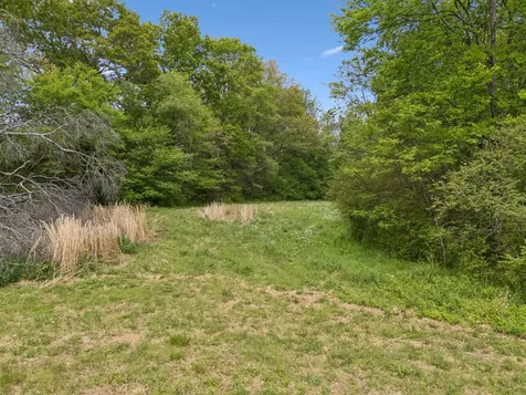 1059 Old Railroad Bed Road Taft TN 38488