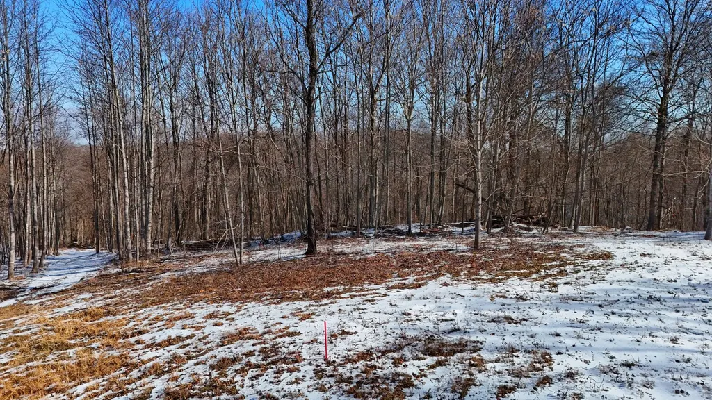 5290 Bedford Creek Road Franklin TN 37064