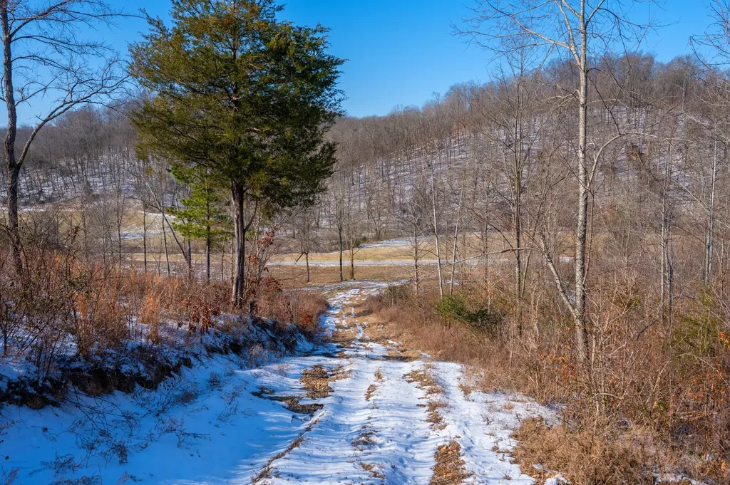 5290 Bedford Creek Road Franklin TN 37064