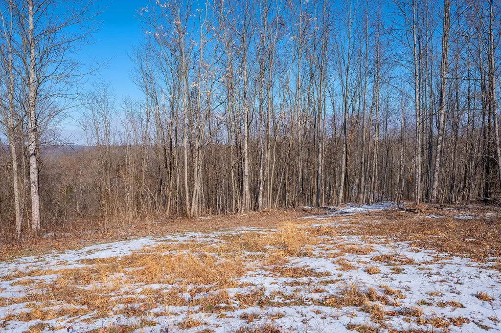 5290 Bedford Creek Road Franklin TN 37064