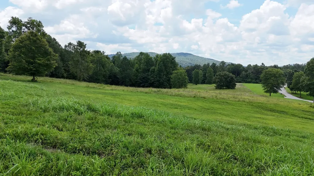 0 Collins Run Mc Minnville TN 37110