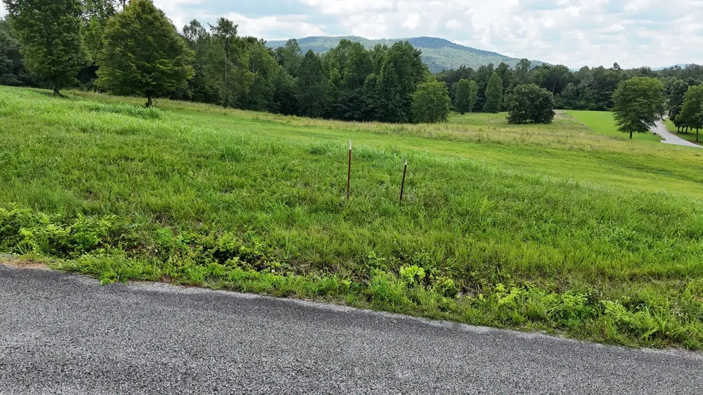 0 Collins Run Mc Minnville TN 37110