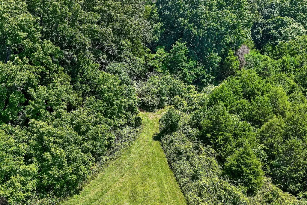 3013 Tulip Lane Cookeville TN 38501