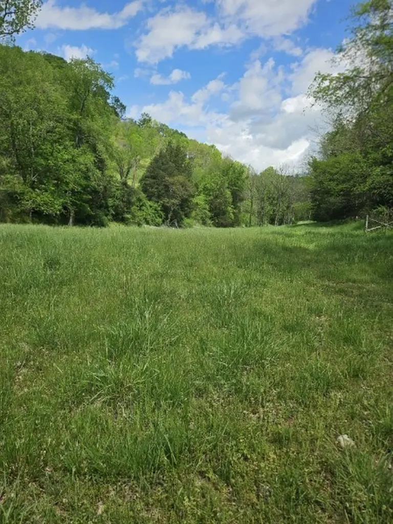 263 Club Springs Road Elmwood TN 38560