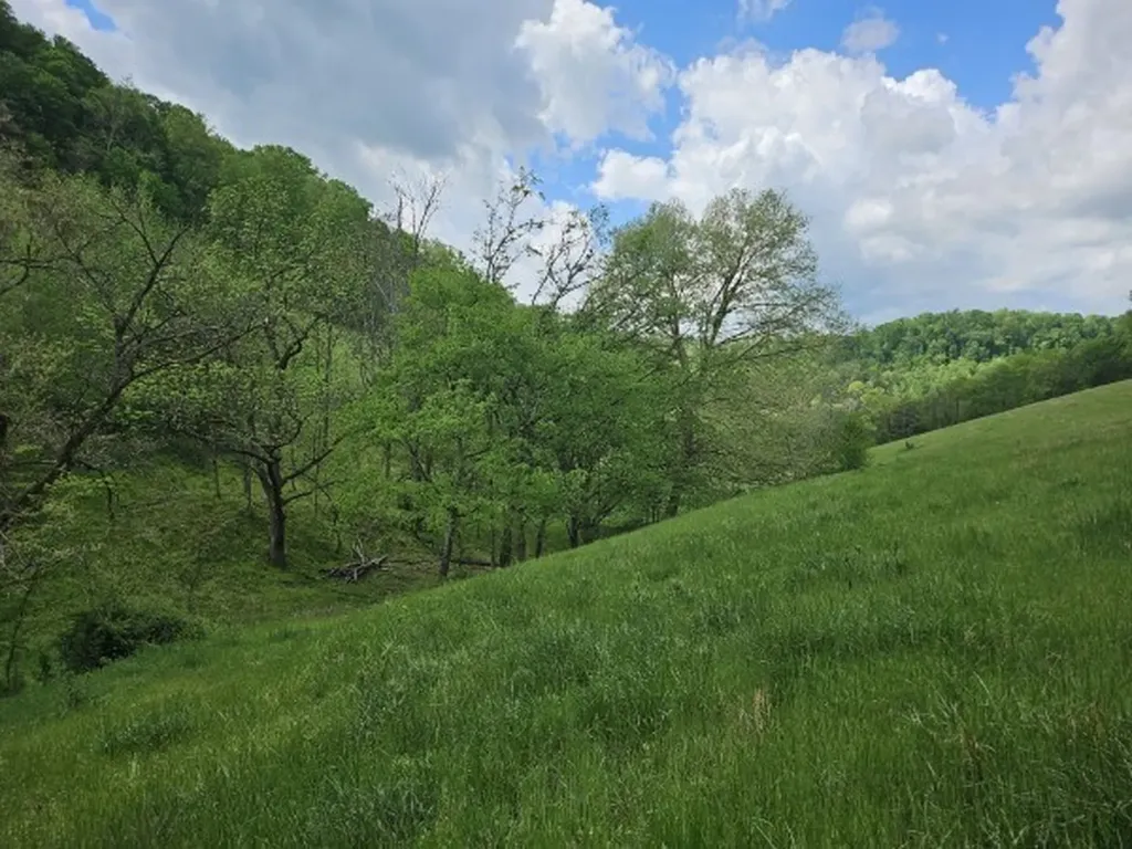 263 Club Springs Road Elmwood TN 38560