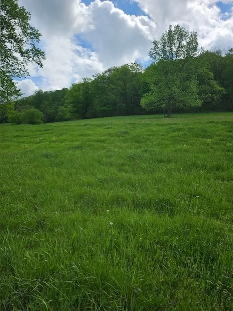 263 Club Springs Road Elmwood TN 38560