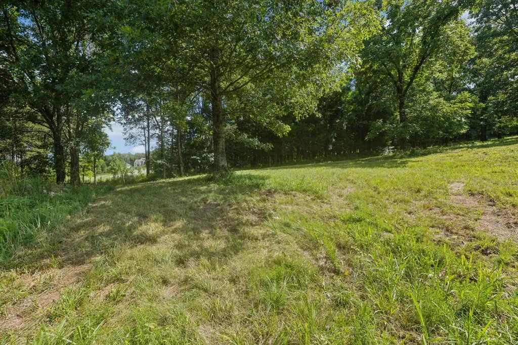 6456 Arno College Grove Road College Grove TN 37046