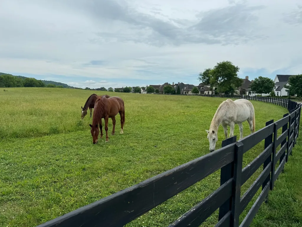 6017 Native Pony Trail College Grove TN 37046