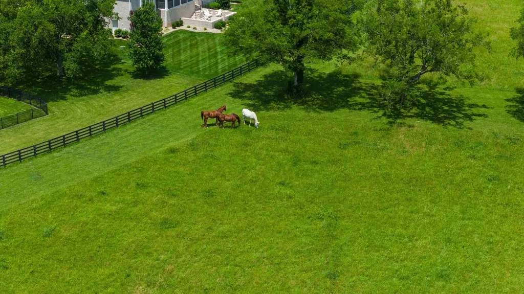 6017 Native Pony Trail College Grove TN 37046