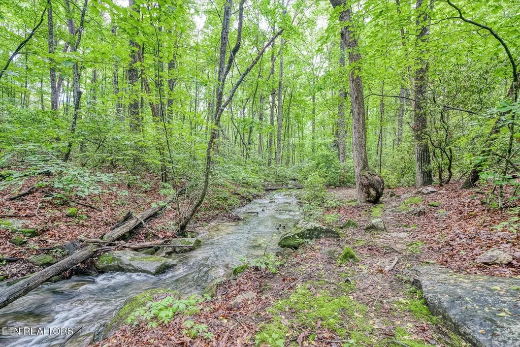 182 Canterbury Drive Crossville TN 38558