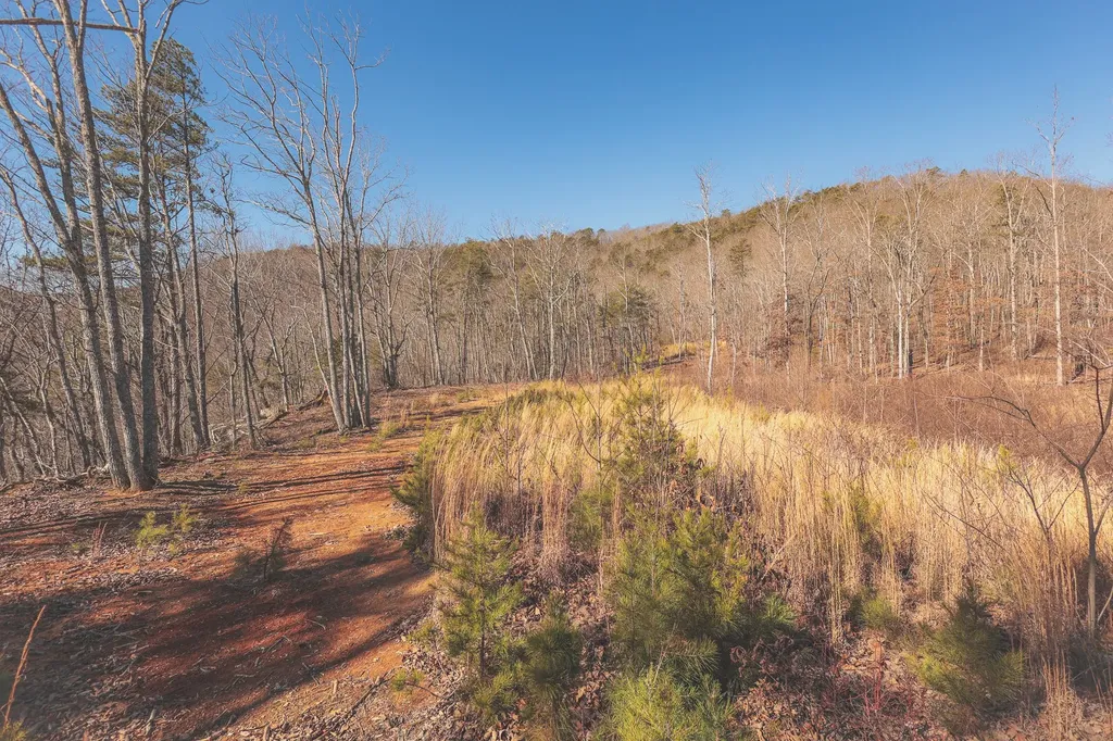 3211 Old State Highway 28 Dunlap TN 37327