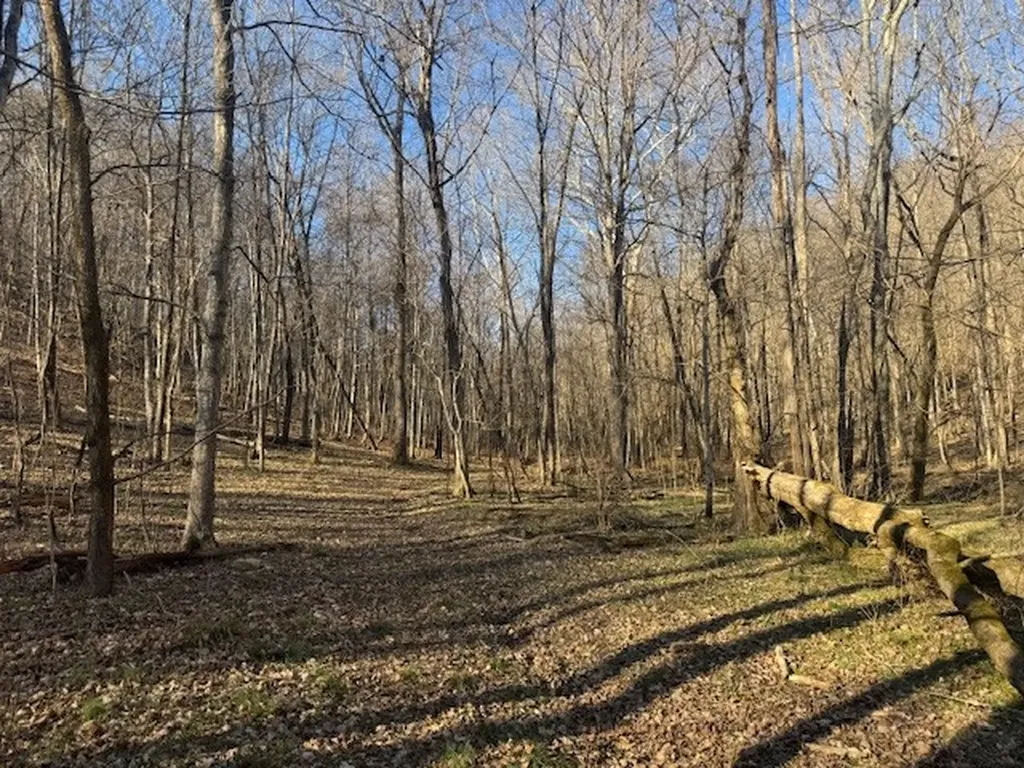 0 Jacobs Road Columbia TN 38401