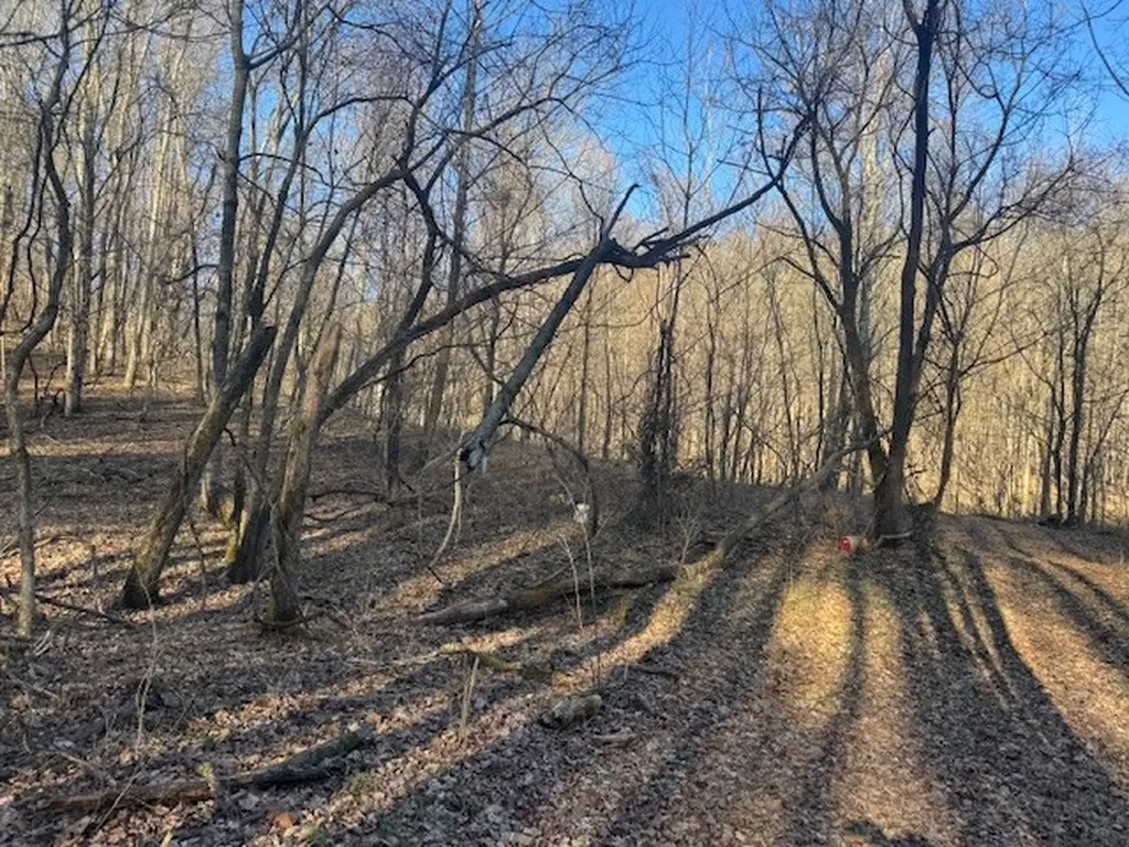 0 Jacobs Road Columbia TN 38401