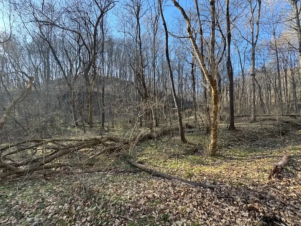 0 Jacobs Road Columbia TN 38401
