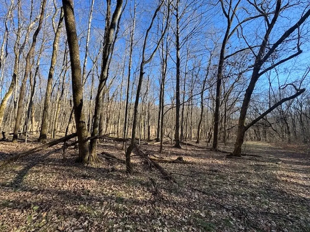 0 Jacobs Road Columbia TN 38401