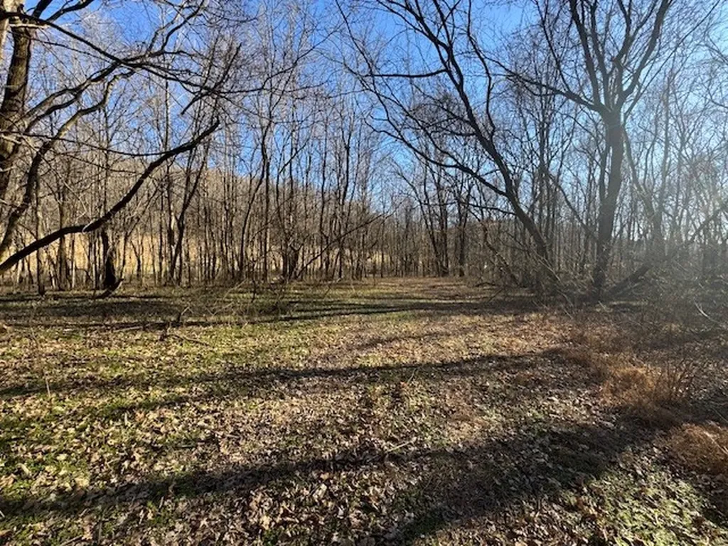 0 Jacobs Road Columbia TN 38401