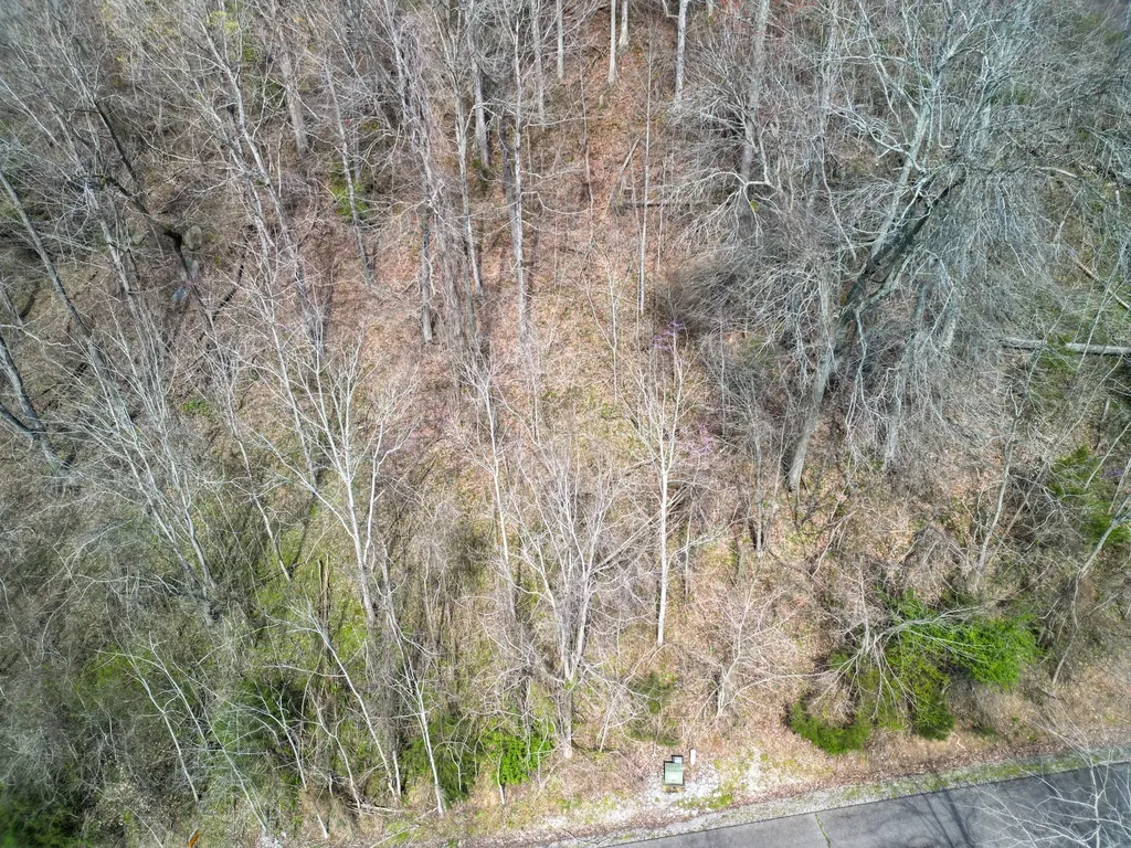 67 Waterwalk Court Smithville TN 37166