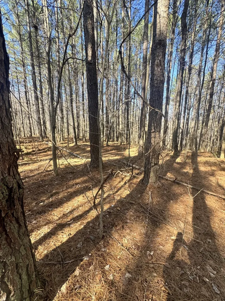 0 Allen Bend Road Smithville TN 37166