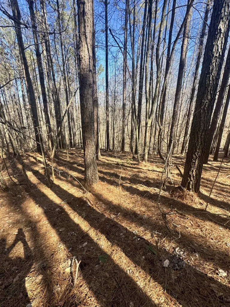 0 Allen Bend Road Smithville TN 37166