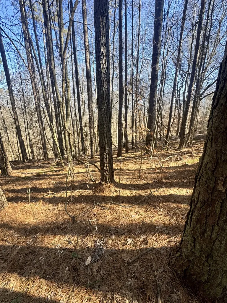 0 Allen Bend Road Smithville TN 37166