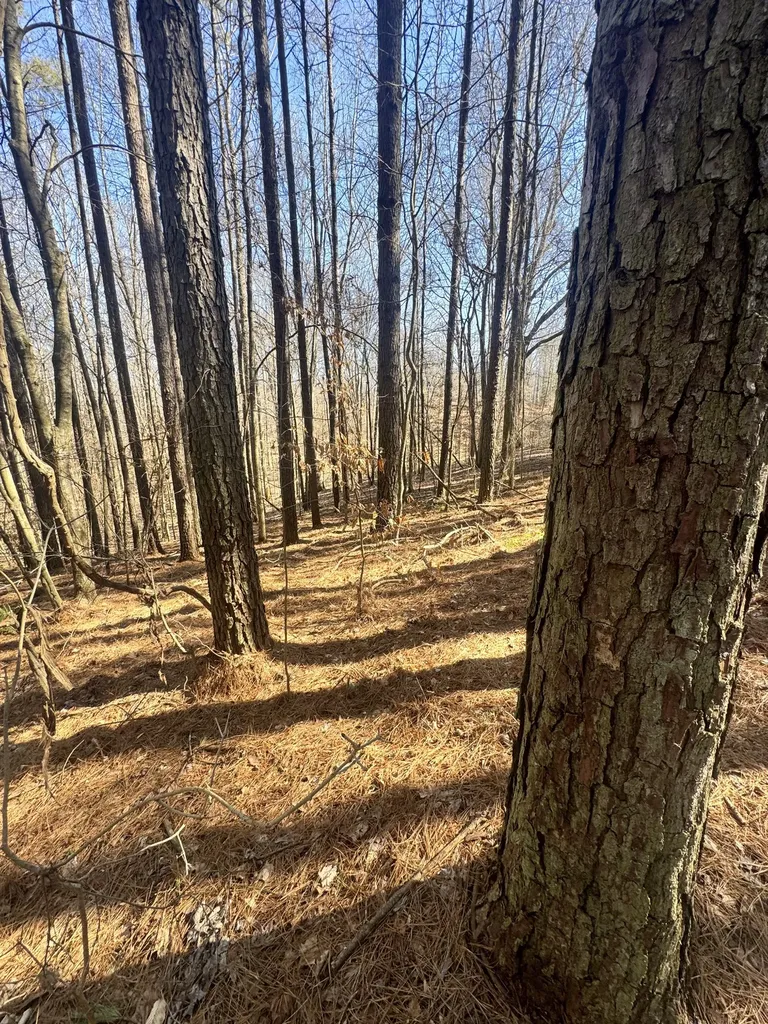 0 Allen Bend Road Smithville TN 37166