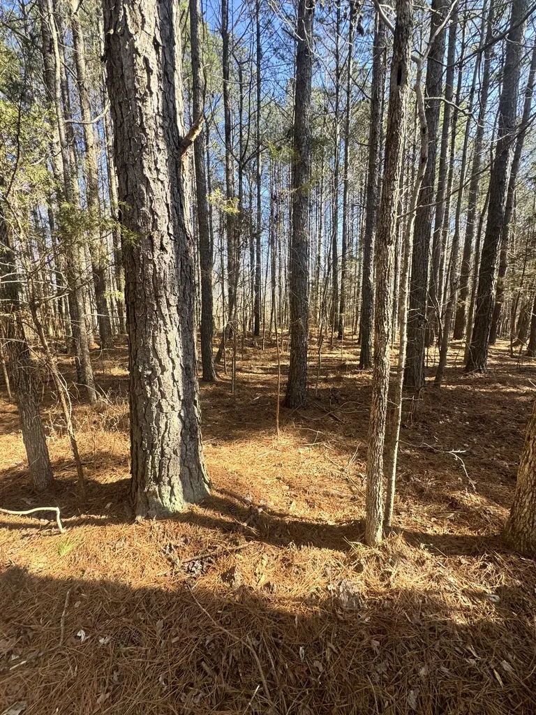 0 Allen Bend Road Smithville TN 37166