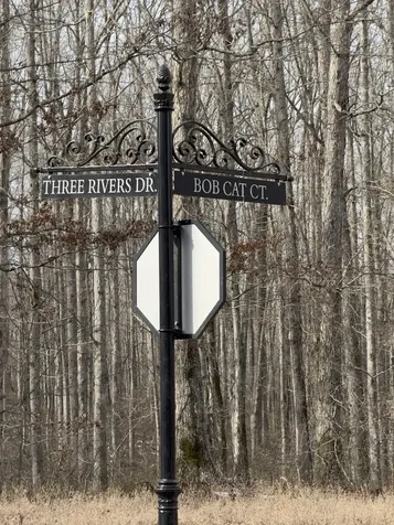 0 Three Rivers Drive Hurricane Mills TN 37078