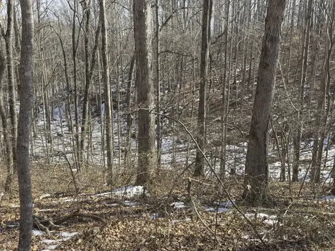 0 Three Rivers Drive Hurricane Mills TN 37078