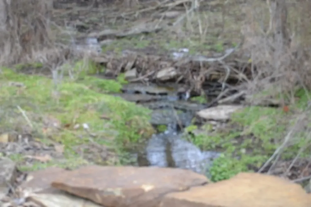 129 Rushing Springs Road Monterey TN 38574