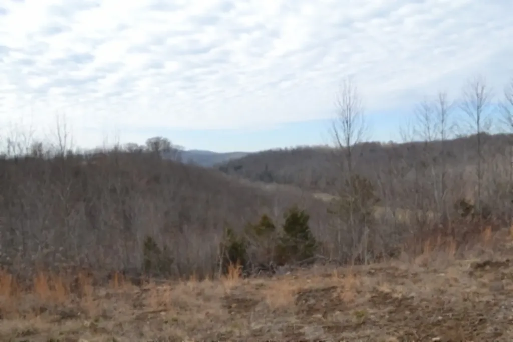 129 Rushing Springs Road Monterey TN 38574