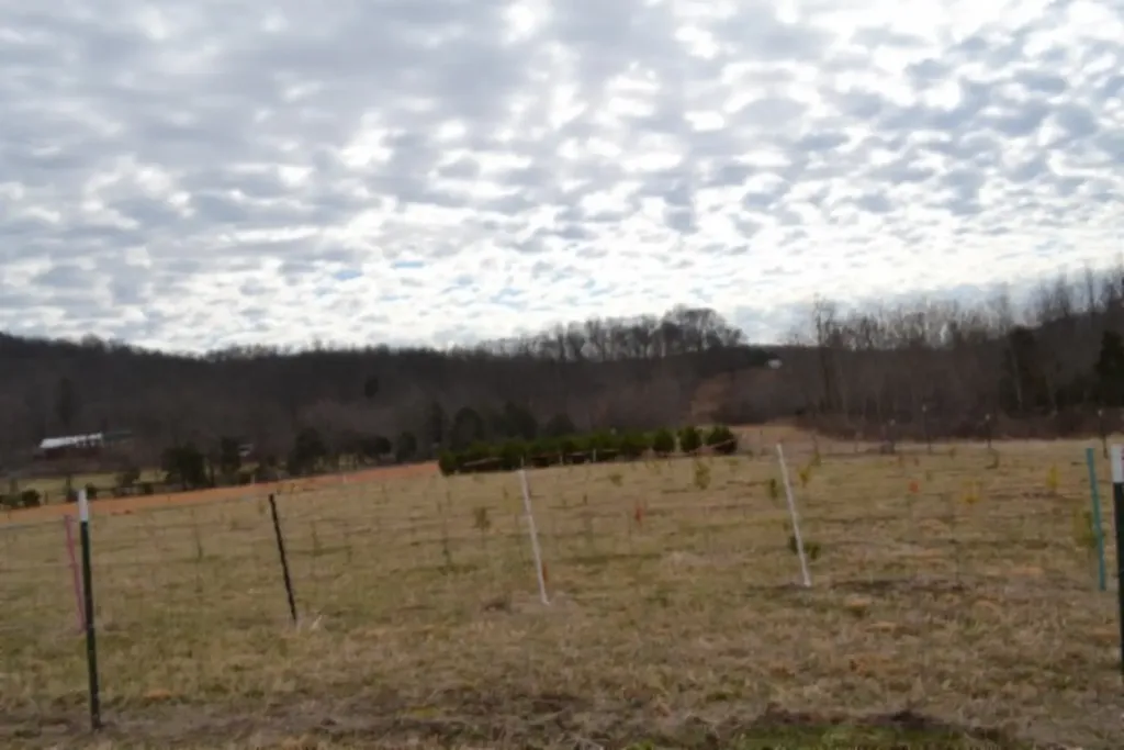 129 Rushing Springs Road Monterey TN 38574