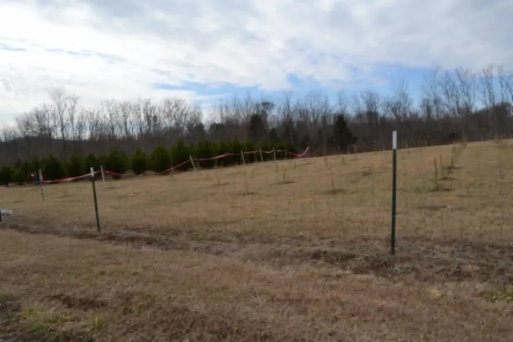 129 Rushing Springs Road Monterey TN 38574