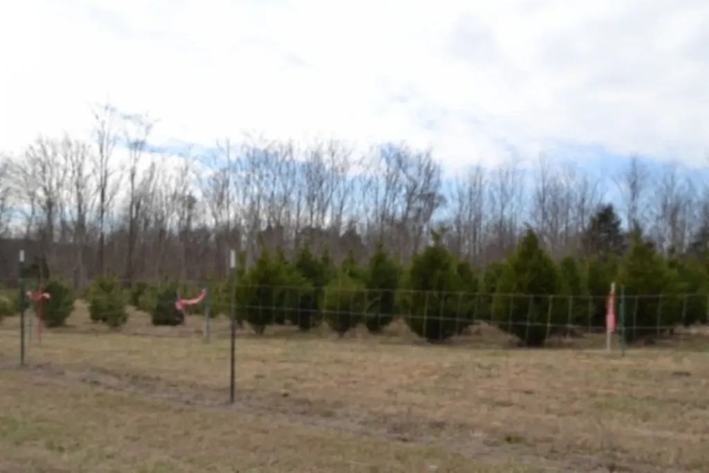 129 Rushing Springs Road Monterey TN 38574