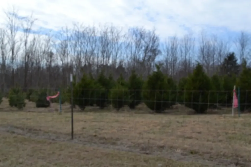129 Rushing Springs Road Monterey TN 38574