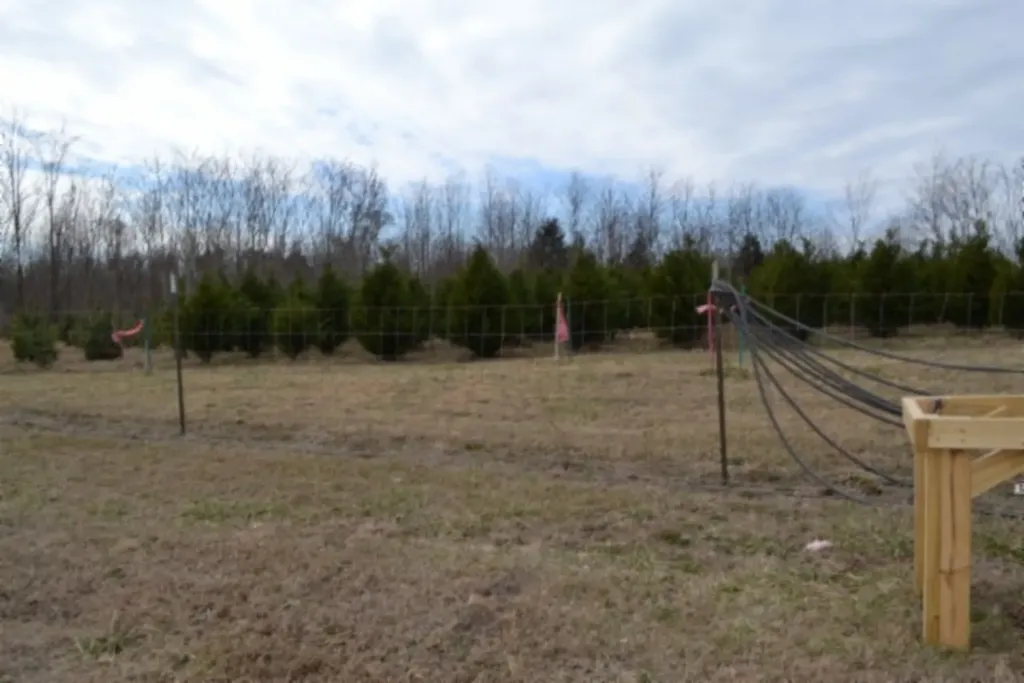 129 Rushing Springs Road Monterey TN 38574