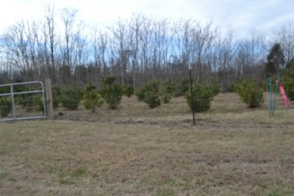 129 Rushing Springs Road Monterey TN 38574