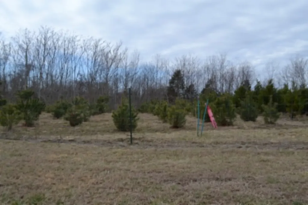 129 Rushing Springs Road Monterey TN 38574