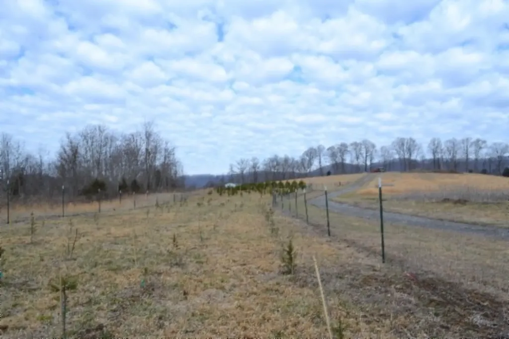 127 Rushing Springs Road Monterey TN 38574