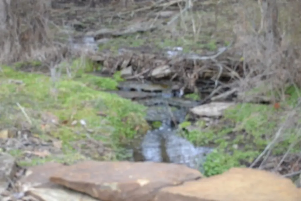 127 Rushing Springs Road Monterey TN 38574
