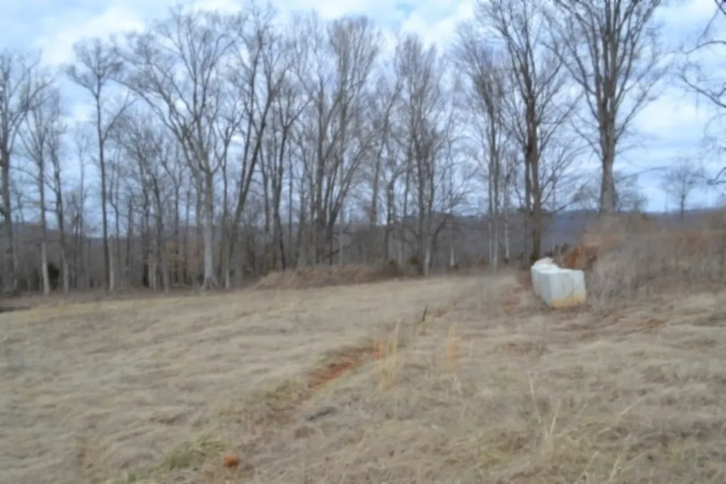 127 Rushing Springs Road Monterey TN 38574