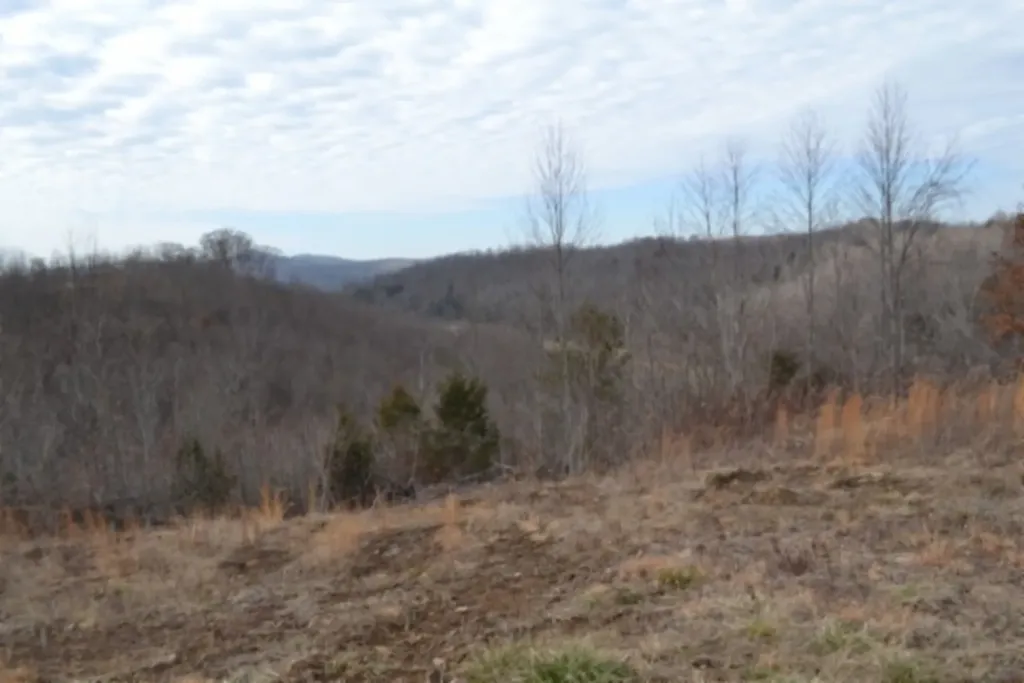 127 Rushing Springs Road Monterey TN 38574