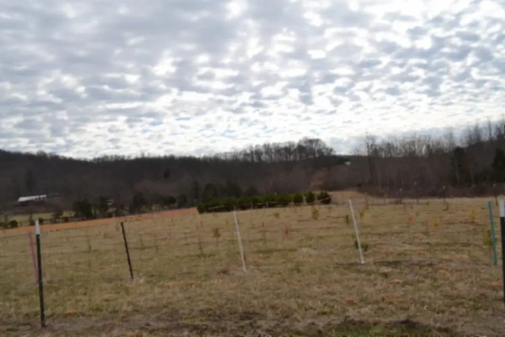 127 Rushing Springs Road Monterey TN 38574