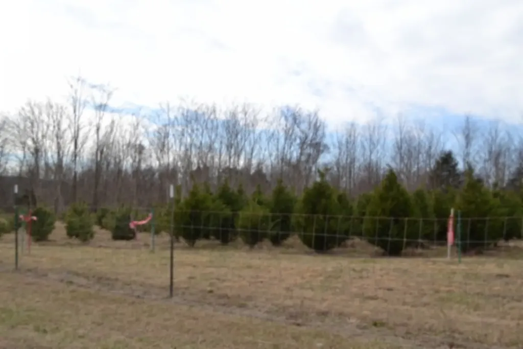 127 Rushing Springs Road Monterey TN 38574