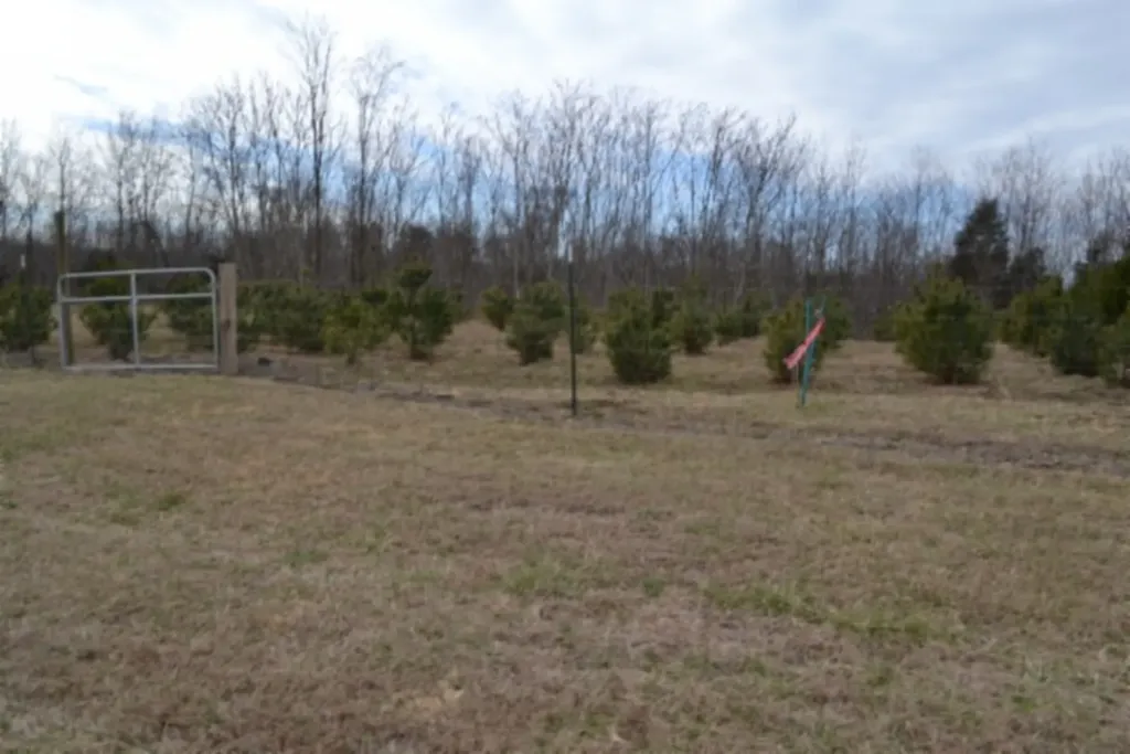 127 Rushing Springs Road Monterey TN 38574
