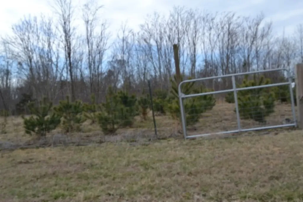 127 Rushing Springs Road Monterey TN 38574