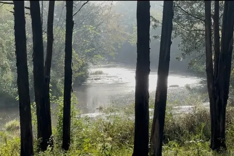 7200 Primrose Lane Lascassas TN 37085