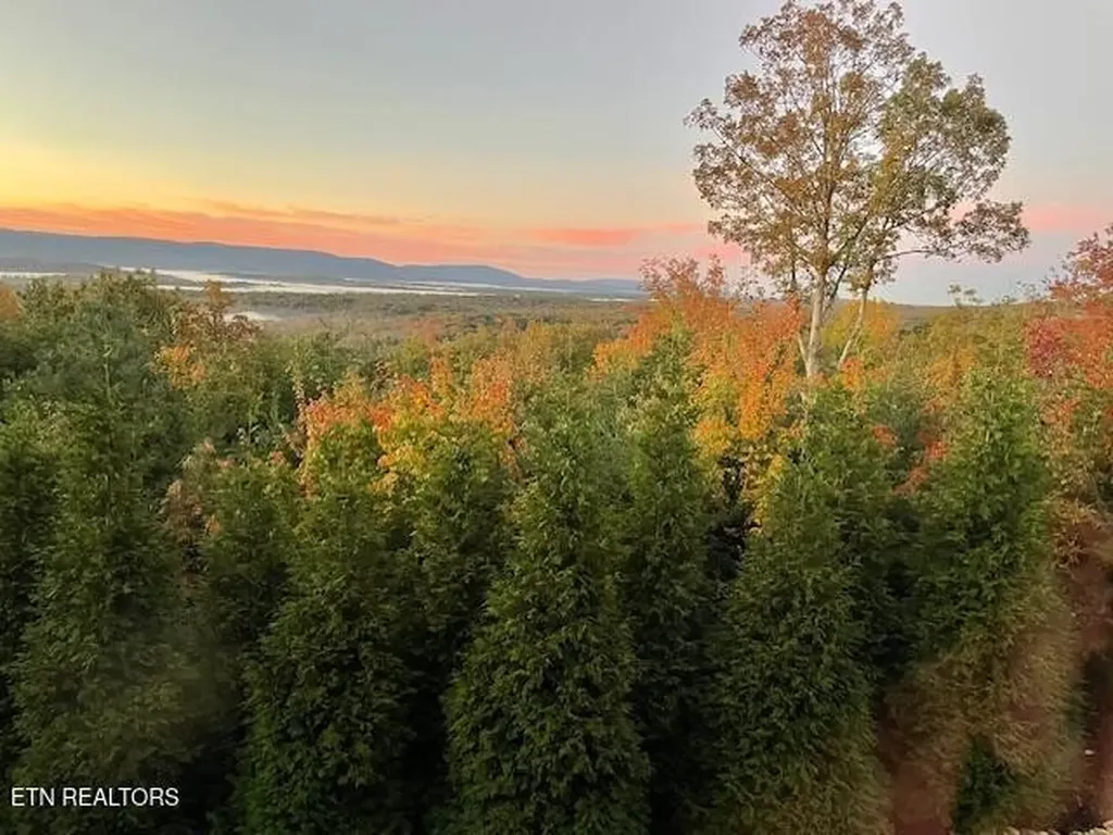 61 Bluff View Court Crossville TN 38558