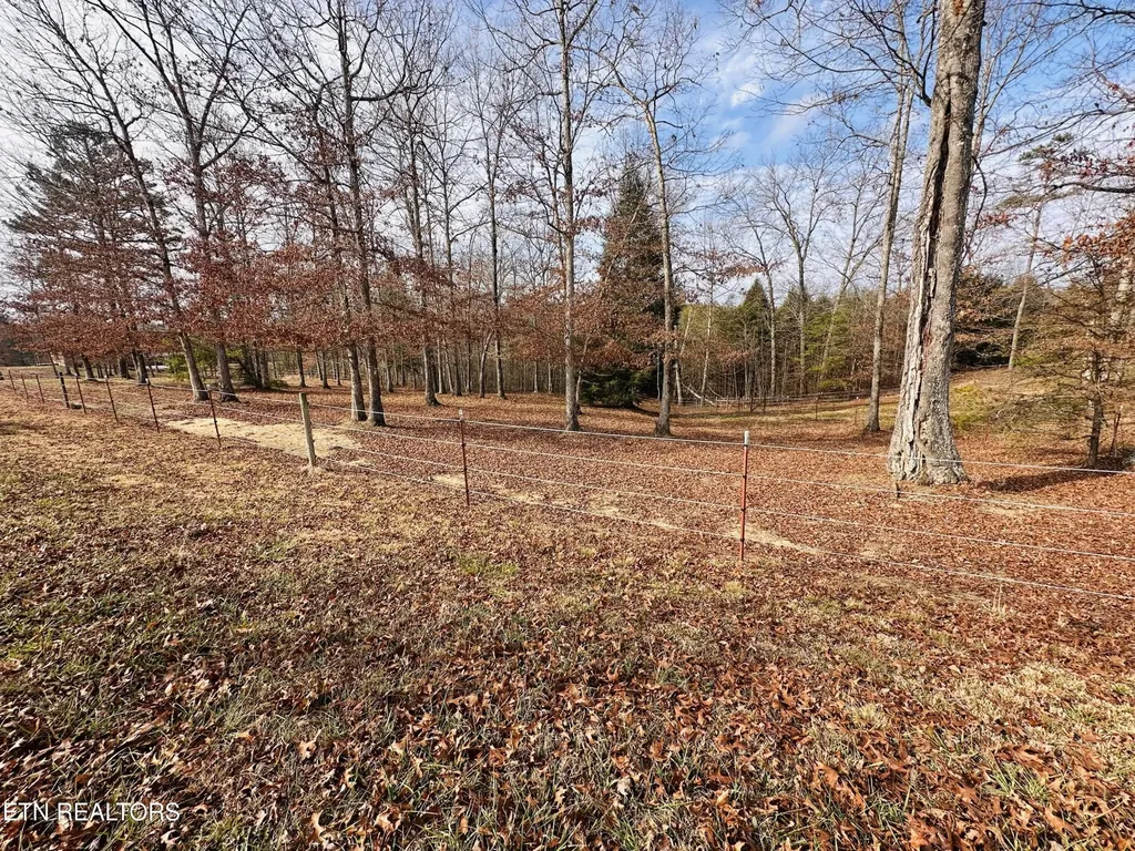 490 Rockview Road Jamestown TN 38556